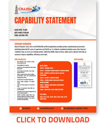OWSI-Capability-Statement OWSI-Capability-Statement